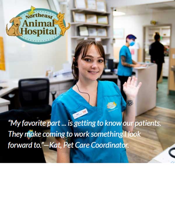 Northeast Animal Hospital St. Pete