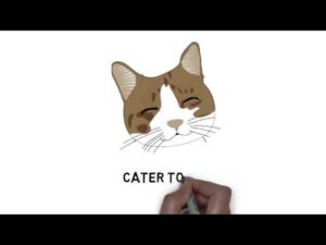 Cat to Cats: come see the difference