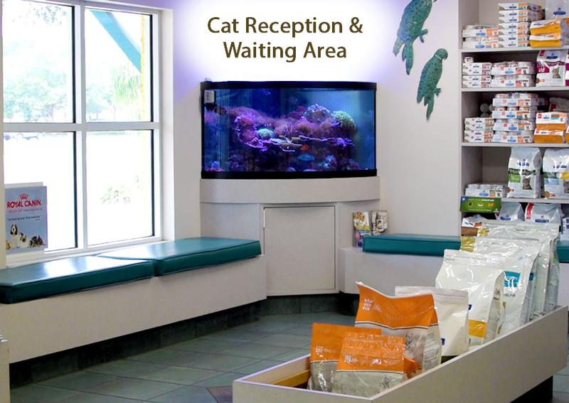 Carousel Slide 12: Cat Reception and Waiting Area