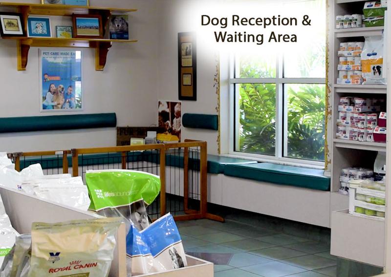 Carousel Slide 7: Dog Reception and Waiting Area