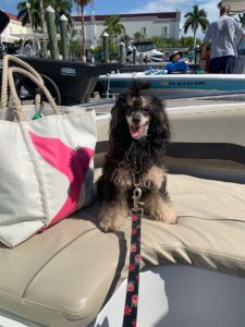 Boating with our dog