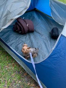Exploring the tent