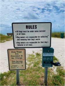 Dog beach signs