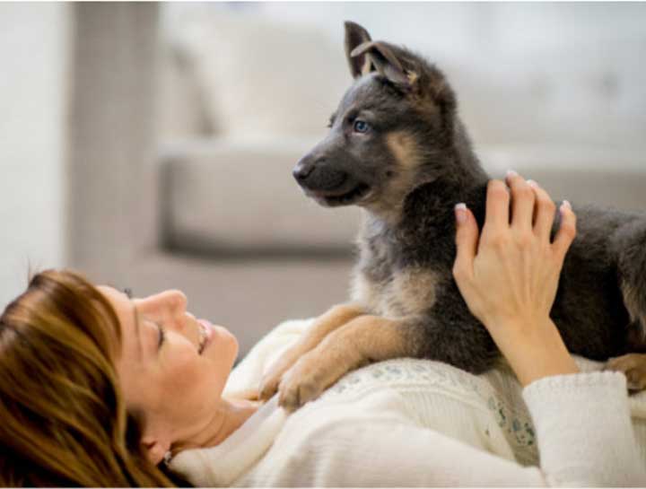 What Veterinarians Wish Every New Pet Parent Knew