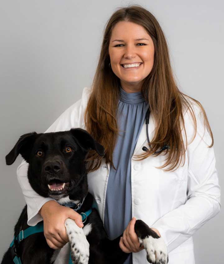 Dr. Amanda Brezicki, DVM