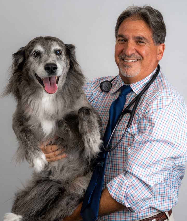 Dr. Mark Scribano, DVM